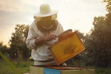 Beekeeper in uniform brushing honey frame at apiary