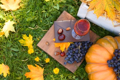 Glass of wine, book and grapes on green grass, above view. Autumn picnic