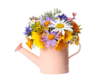 Pink watering can with beautiful flowers isolated on white