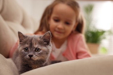 Cute little girl with kitten on sofa at home, closeup. Childhood pet