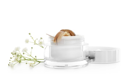 Photo of Snail in jar with cream and flowers isolated on white