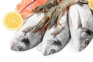 Photo of Fresh dorado fish, salmon and shrimps on white background, top view