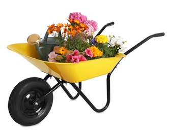 Photo of Yellow wheelbarrow with different flowers and gardening tools isolated on white