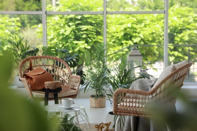 Indoor terrace interior with elegant furniture and houseplants