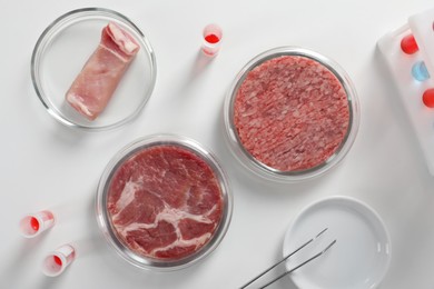 Samples of cultured meats on white lab table, flat lay