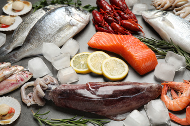 Fresh fish and seafood on grey table