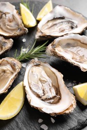 Delicious fresh oysters with lemon slices served on table