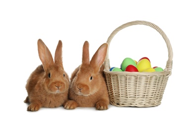 Adorable furry Easter bunnies near wicker basket with dyed eggs on white background