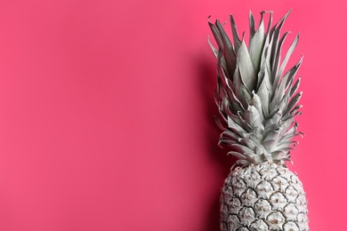 Photo of Top view of painted white pineapple on pink background, space for text. Creative concept