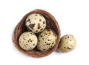 Nest with quail eggs on white background, top view
