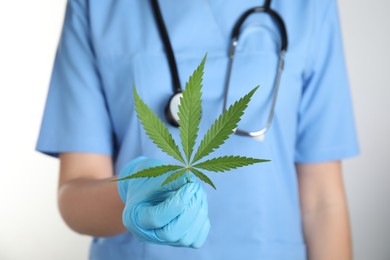 Doctor holding fresh hemp leaf on white background, closeup. Medical cannabis