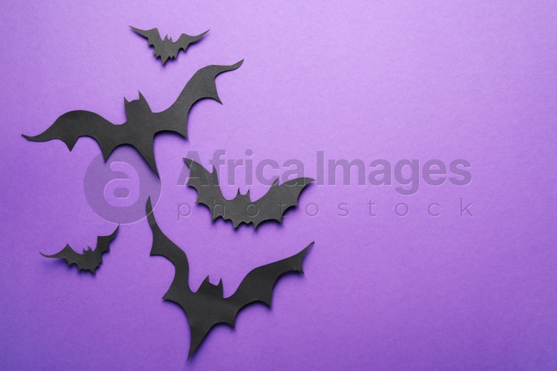 Paper bats and space for text on purple background, flat lay. Halloween decor