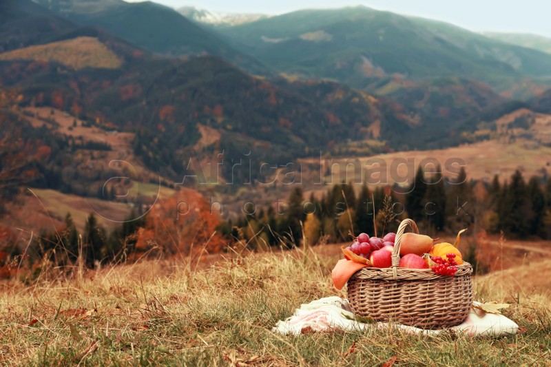 Wicker picnic basket with fruits, autumn leaves and plaid in mountains, space for text
