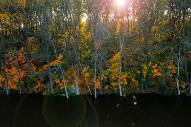 Beautiful view of autumn forest on riverbank