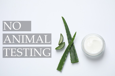 Jar of cream, aloe and text NO ANIMAL TESTING on white background, flat lay