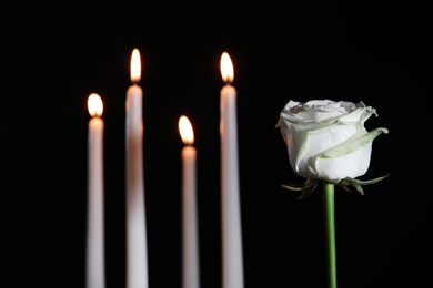 White rose and blurred burning candles in darkness, space for text. Funeral symbol