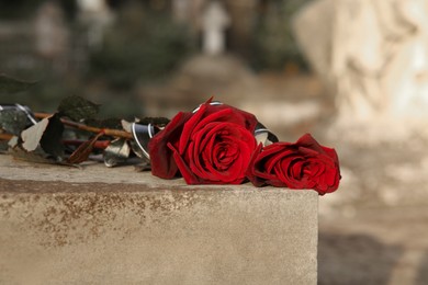 Red roses on grey tombstone outdoors. Funeral ceremony