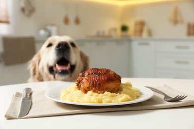 Photo of Cute hungry dog near plate with owner's food in kitchen
