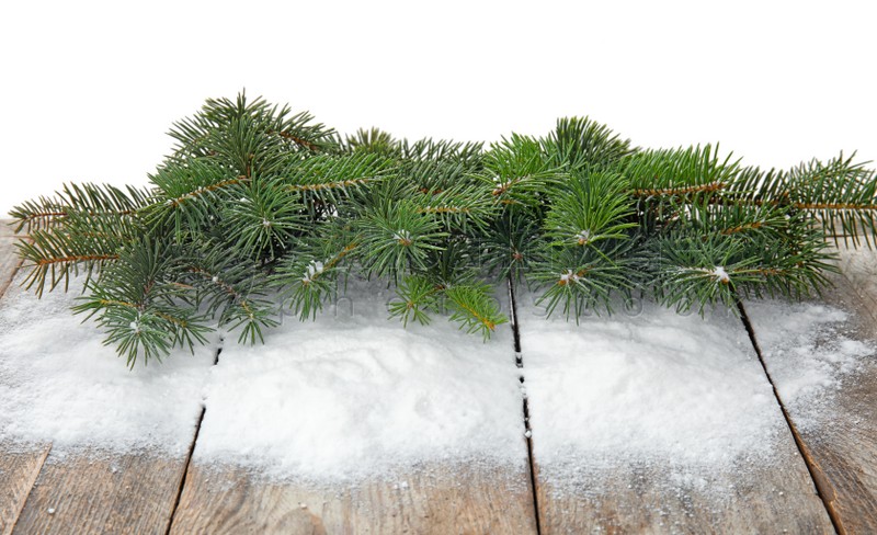 Christmas tree branches and snow on table against white background