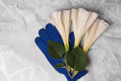 Photo of Gardening gloves with beautiful flowers on light grey marble table, top view. Space for text