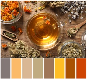 Flat lay composition with freshly brewed tea and dried herbs on wooden table and color palette. Collage