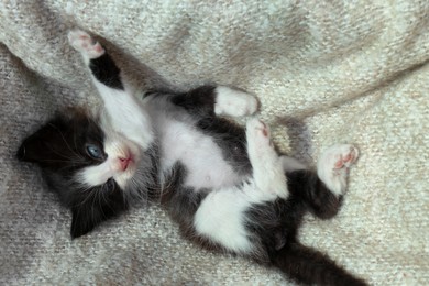 Cute baby kitten lying on cozy blanket, top view