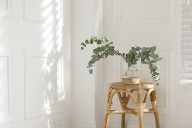 Beautiful eucalyptus branches in vase on wicker table indoors, space for text