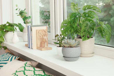 Many beautiful house plants on windowsill indoors. Home design idea
