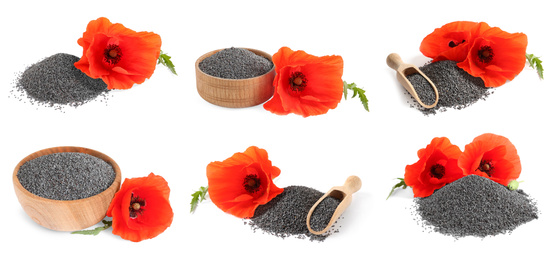 Collage with poppy seeds on white background. Banner design