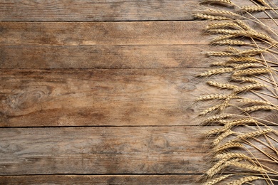Photo of Wheat spikes on wooden background, flat lay. Space for text