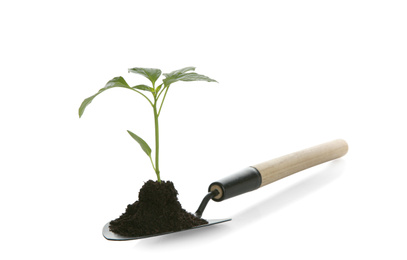 Photo of Gardening trowel with soil and green pepper seedling isolated on white