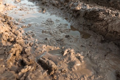 Closeup view of textured ground mud outdoors