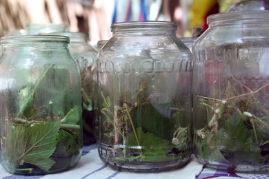 Glass jars with different herbs on table. Pickling vegetables
