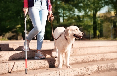 Photo of Guide dog helping blind person with long cane going down stairs outdoors