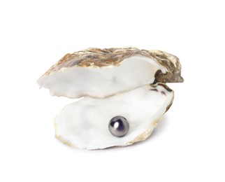 Open oyster shell with black pearl on white background