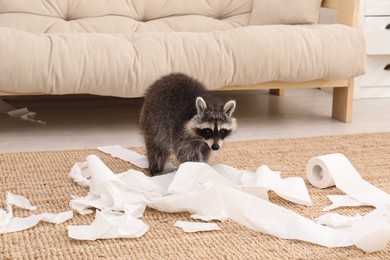 Cute mischievous raccoon playing with toilet paper on floor indoors