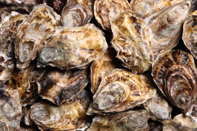 Fresh closed oysters as background, top view