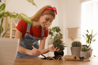 Photo of Young woman potting succulent plant at home. Engaging hobby
