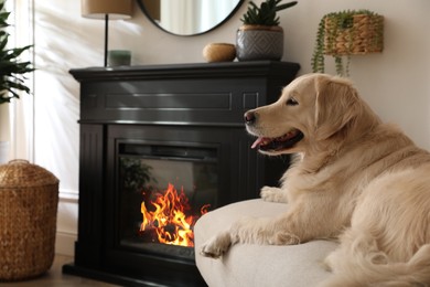 Photo of Adorable Golden Retriever dog on sofa near electric fireplace indoors