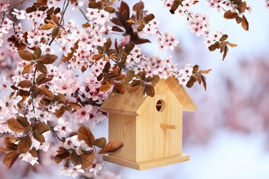Beautiful wooden bird house hanging on blossoming tree outdoors. Springtime
