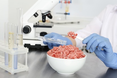 Scientist inspecting forcemeat in laboratory, closeup. Food quality control