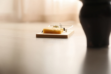 Mousetrap with piece of cheese indoors. Pest control