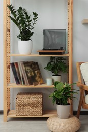 Wooden shelving unit with turntable, vinyl records and beautiful houseplants in room