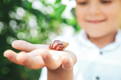 Boy playing with cute snail outdoors, focus on hand. Child spending time in nature