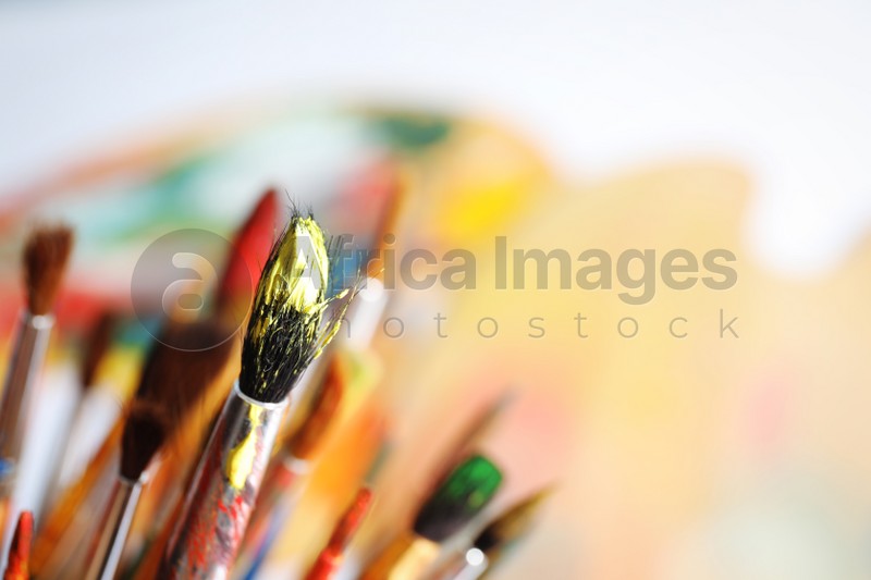 Different paint brushes on blurred background, closeup. Space for text