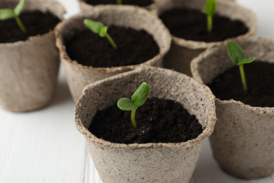Young seedlings in peat pots on white table, closeup