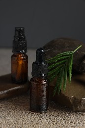 Photo of Bottles of organic cosmetic products, green leaf and stones on wet surface