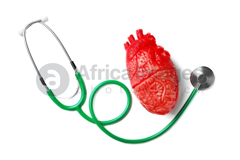 Stethoscope for checking pulse and heart model on white background, top view