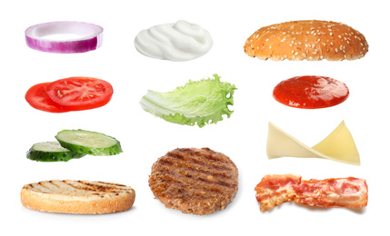 Set of ingredients for delicious burger on white background