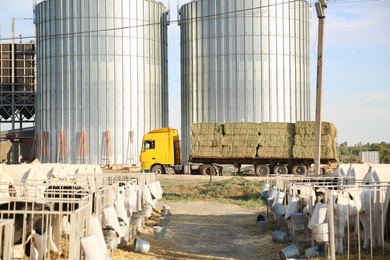 Stainless steel milk silos and truck with hay bales on farm. Animal husbandry